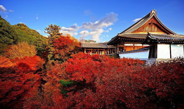 你要的京都1日游懒人包已到货,请查收!赏枫最