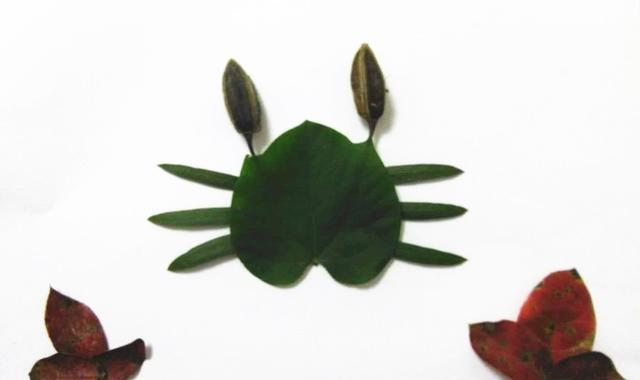 亲子画|有趣的20种叶子拼画更能让孩子发挥创造力