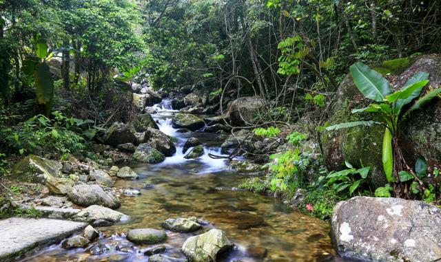 惠州温泉排行榜_广东真温泉,惠州4家上榜!