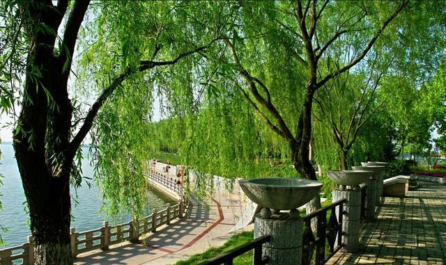 湖南经济排名第三的城市,人口超六百万,号称桃