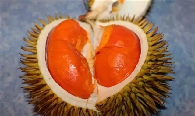 史上最全榴莲品种产地分类大全