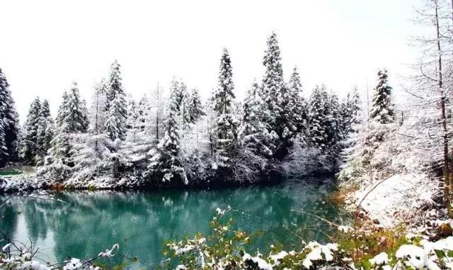 苏马荡齐岳山赏雪引爆利川冬季旅游冬天还有哪些好去处