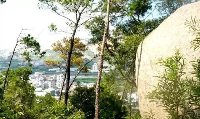 关于汕头濠江磊口社区，你不知道的八件事……