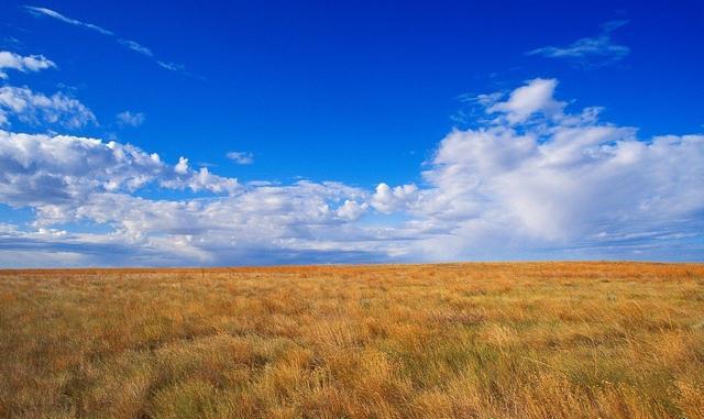 2018北京国家电网(二批)考试招聘报名条件