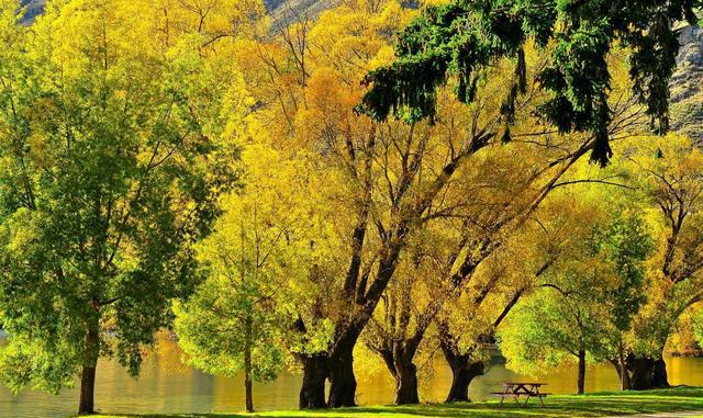 男人彻底懂得一个女人之后,是不会爱她的