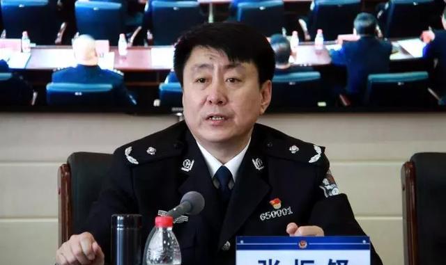 张振铎,省公安厅网安总队副总队长胡欣,市公安局副局长王强,杨立东,市