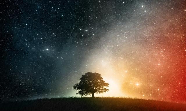 仰望星空, 脚踏实地--道德是指引, 不是枷锁