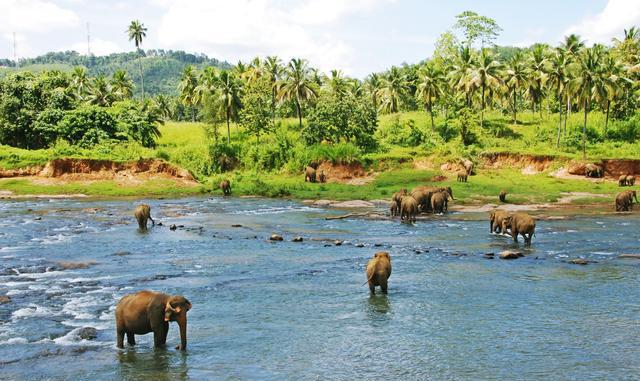 云南省8个地级市 8个自治州 旅游资源排行榜 第