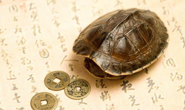 命理四柱带灾煞会有灾吗？