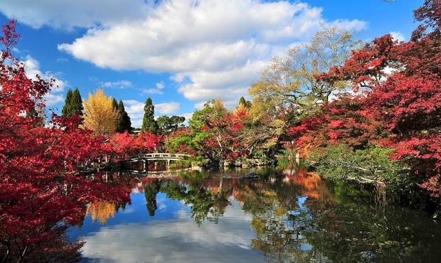 你要的京都1日游懒人包已到货,请查收!赏枫最