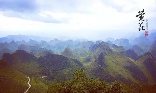 黄花秘境·靘务山｜传说中的徒步天国，人在山中等于仙