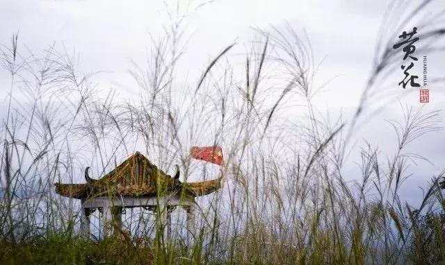 黄花秘境·靘务山｜传说中的徒步天国，人在山中等于仙