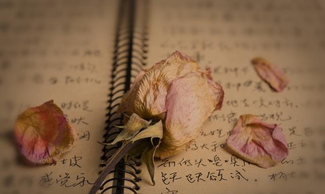 一个月就一次，我受够了，仳离吧！！