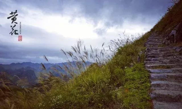 黄花秘境·靘务山｜传说中的徒步天国，人在山中等于仙