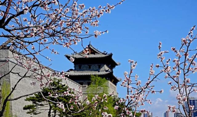 “大同蓝”再度傲娇 好天气又创纪录