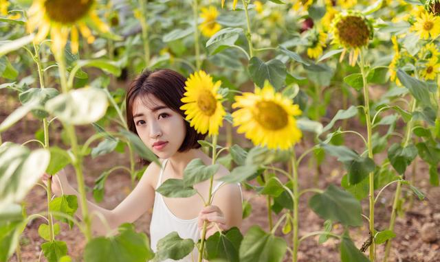 瞒着爸妈和男友谈结婚的事,他说了他哥结婚的