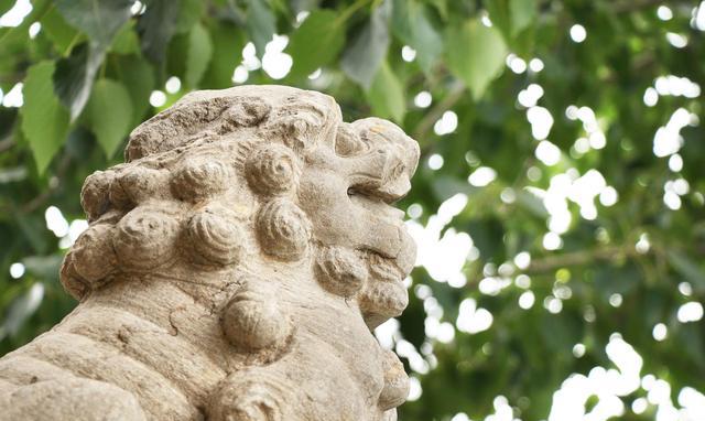 天花娉婷下如雨,狻猊坐上师子语