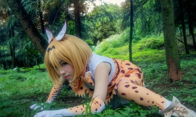 cosplay 兽娘动物园之性感薮猫