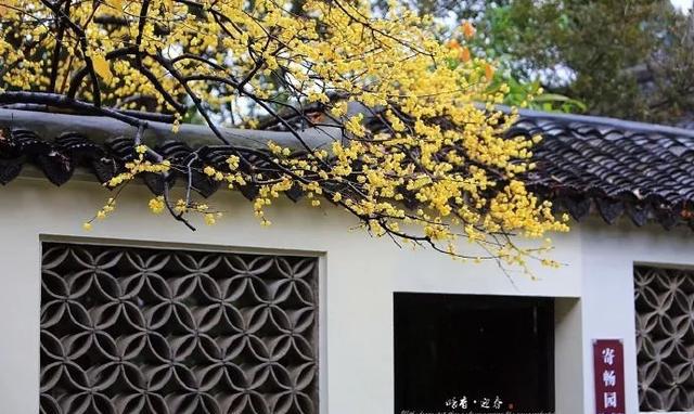 96519 江苏旅游投诉热线开通啦,维护权益不