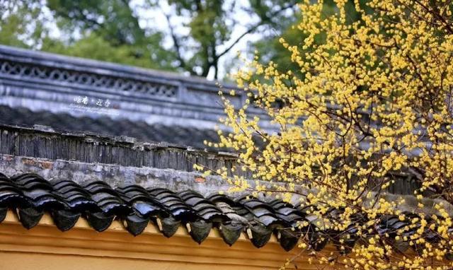 96519 江苏旅游投诉热线开通啦,维护权益不