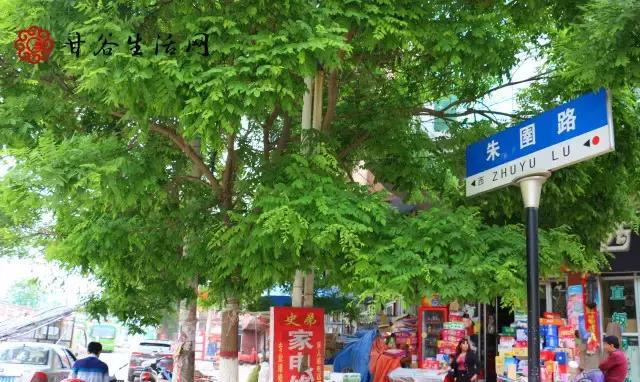 沿着姚庄朱圉路走过令甲村、七甲村……这次我们先逛七甲村！