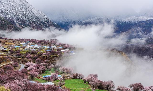 被誉为“西藏江南”的林芝其实是假气候，外地人久住伤身