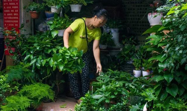 如果你对生活失去希望，一定要逛逛成都菜市场！因为……