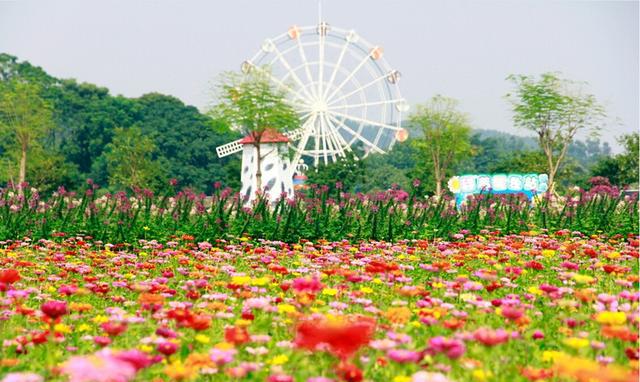 佛山盈香生态园自驾游