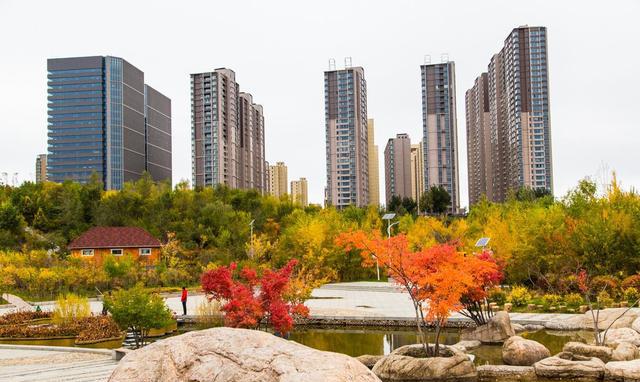 呼和浩特成吉思汗公园进入最佳观赏期,美景不等人