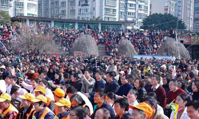 大彭庄最新动态揭秘暨晋州富村概览