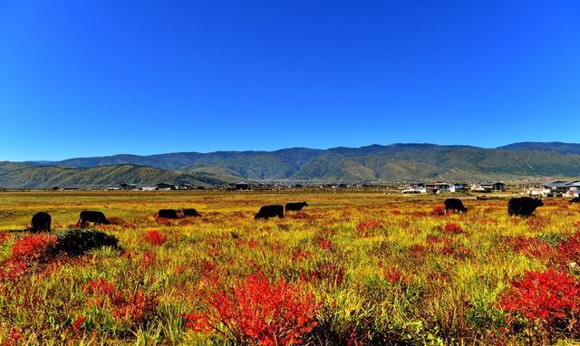 云南省8个地级市 8个自治州 旅游资源排行榜 第