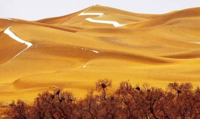 招募 ∣ 为你备好最快的“马”，赴腾格里沙漠探秘