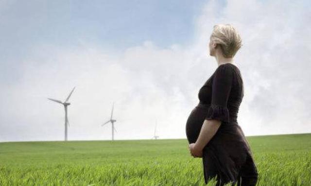 我挺着大肚子去参加前夫的婚礼,新娘当场悔婚