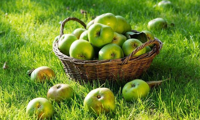 十猪九苦,属猪人最命苦的出生月份,白叟讲的