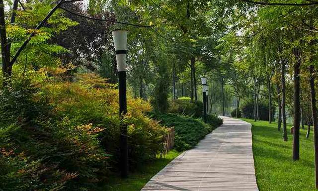 西安市这几个公园景美不远，可以免费游玩