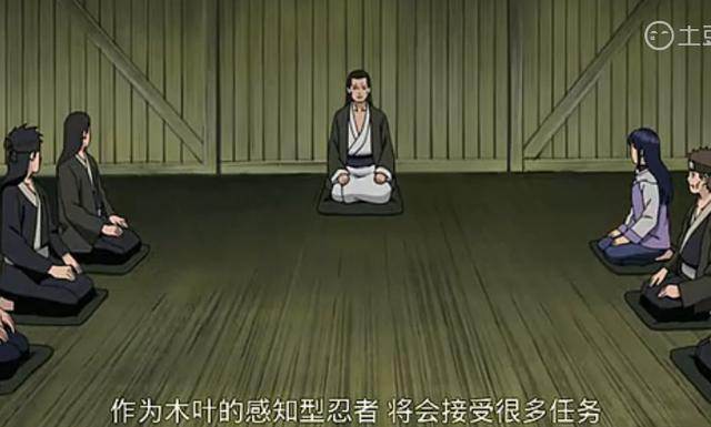 火影忍者:忍者大战时,日向一族的队长是宁次,为什么不是雏田?