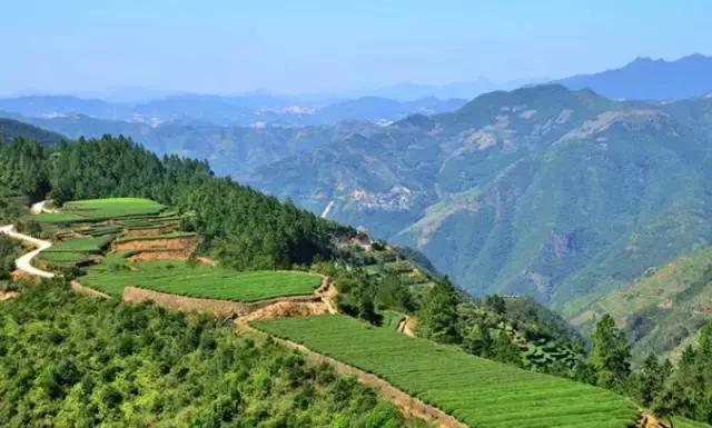 美丽乡村行之西坑村——厦门的“西藏”