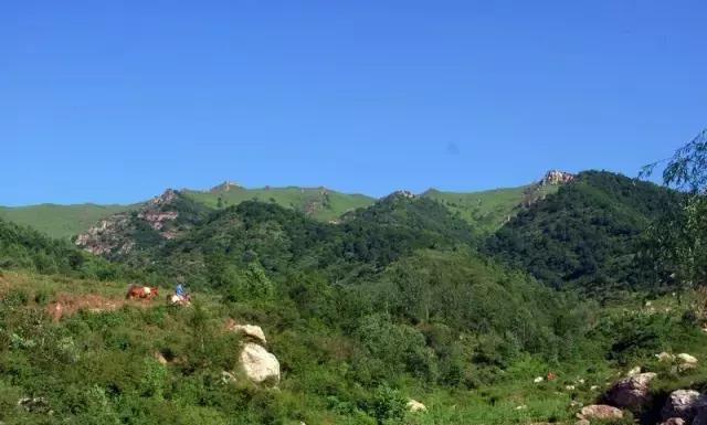 石家庄周边竟然有这么一大片空中草原，你去过吗？