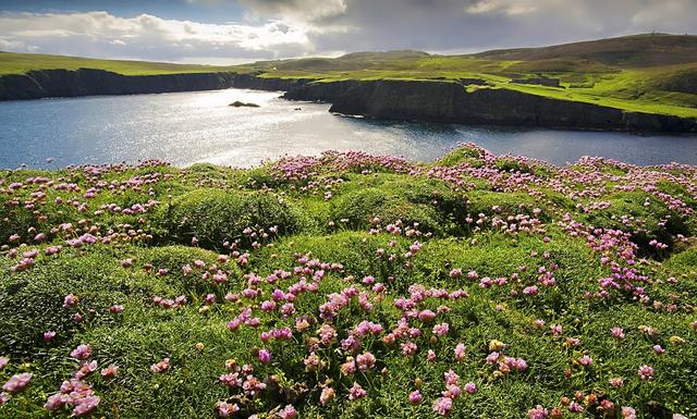 做人别太过,做事别太绝(句句入心)