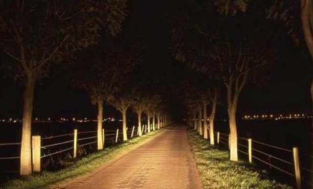 故事:开车无意撞死过路黄鼠狼,第二日家鸡一只