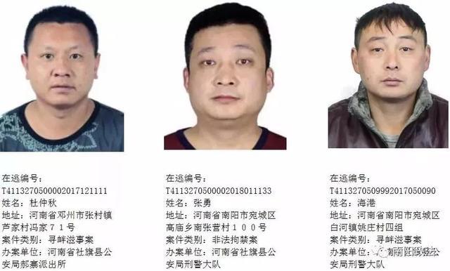 1号通缉令 社旗县公安局