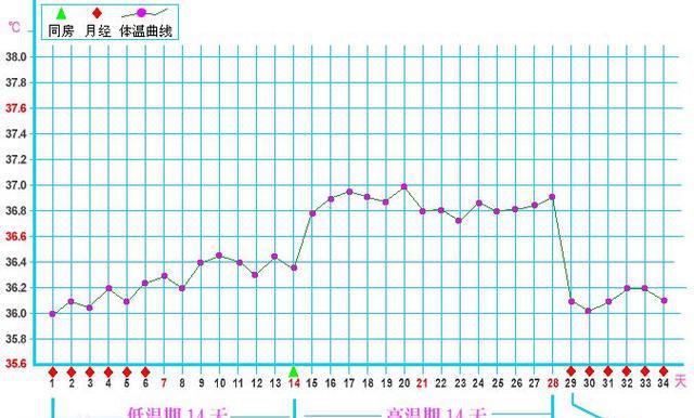如何从基础体温看出你能否怀孕?