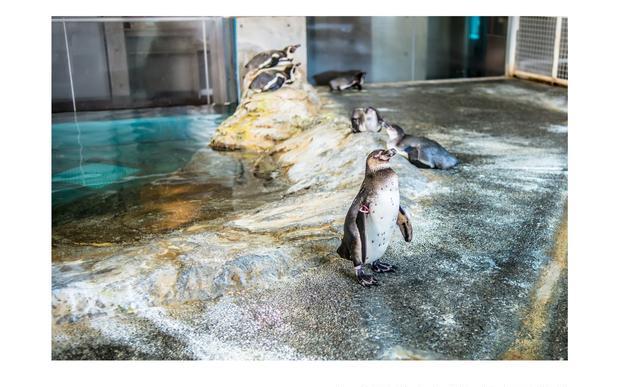 城市之外,我爱乡村