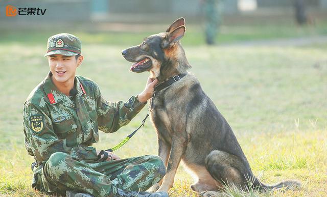 《奇兵神犬》阶段大考核激烈而至,杨烁陷信任危机姜潮