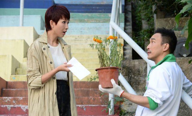 蔡少芬回巢，都救不了飞纸仔的《老表，毕业喇》