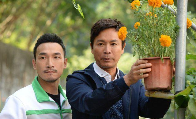 蔡少芬回巢，都救不了飞纸仔的《老表，毕业喇》