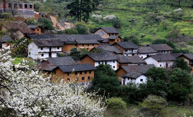 贵州山村住着朱元璋后代,其23代后人已经60多岁,还是个村长