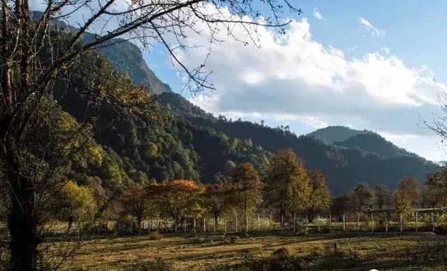 腾冲大竹坝:最纯粹的风景 才是最惊艳的