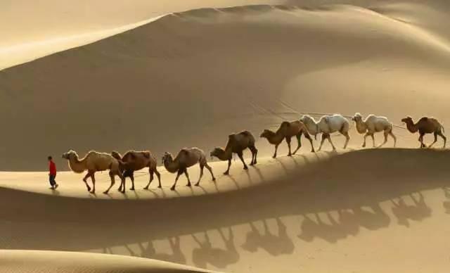 重走张骞出塞之路,领略新疆大漠孤烟之美