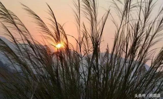 一位女儿写给父亲的文章,令人潸然泪下…